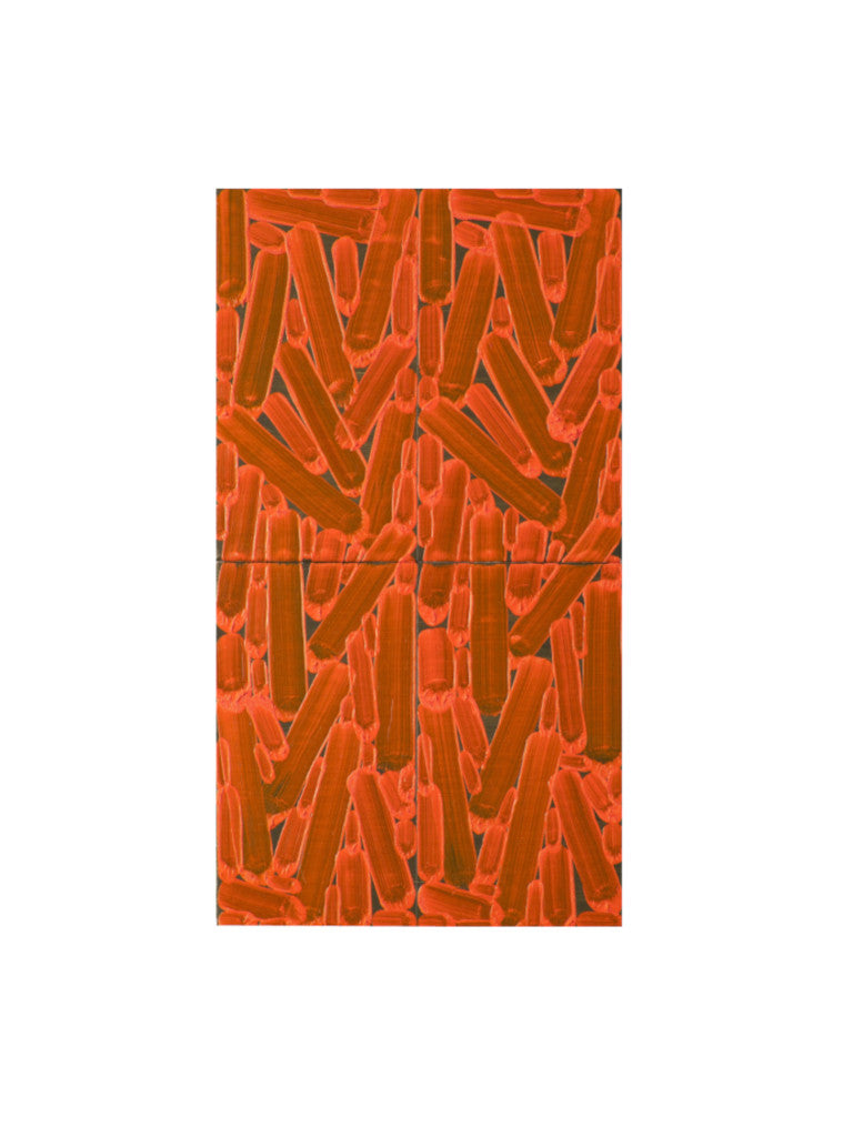 Painting entitled Carrot